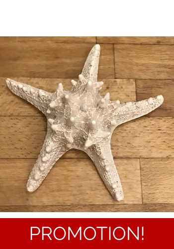 latex mould for making this star fish