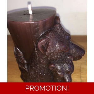 Latex mould for making this lovely 3d style bear candle