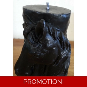 Latex mould for making this Horse themed 3 d style candle