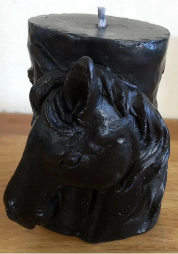Latex mould for making this Horse themed 3 d style candle
