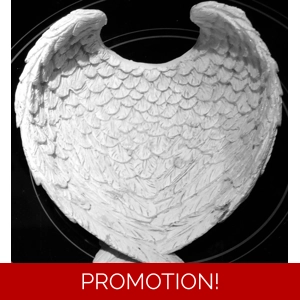 Latex mould for making this lovely angel wing bowl