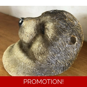 Latex mould for making this otter head