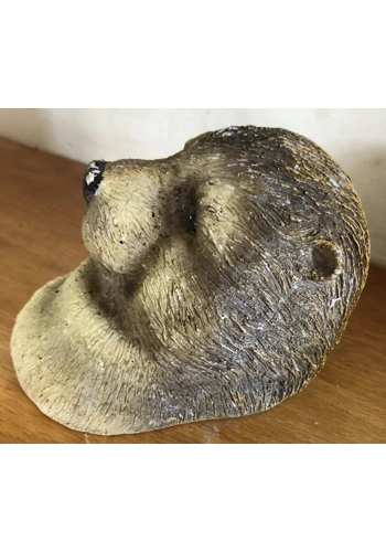 Latex mould for making this otter head