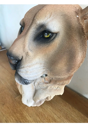 Latex mould for making this fabulous Puma head