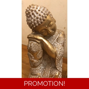 2 x * Latex moulds for making these lovely Buddha Bookends