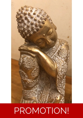 2 x * Latex moulds for making these lovely Buddha Bookends