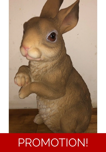 Latex mould for making this large rabbit