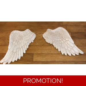 2 x latex moulds for making this pair of angel wings