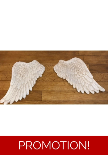 2 x latex moulds for making this pair of angel wings