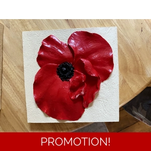 Latex mould for making this Poppy Plaque/stepping stone 2