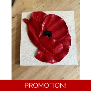 latex mould for making this Poppy Plaque/stepping stone