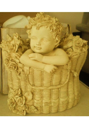 Baby In Gift Basket