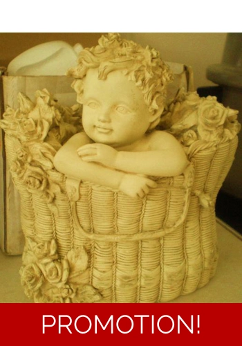 Baby In Gift Basket