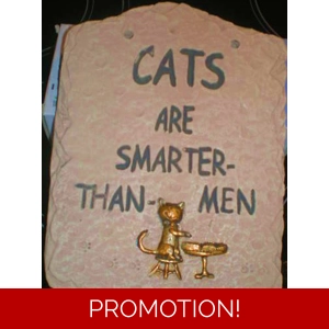 Cats are smarter than men plaque