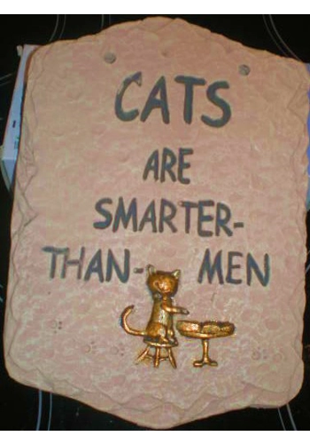 Cats are smarter than men plaque