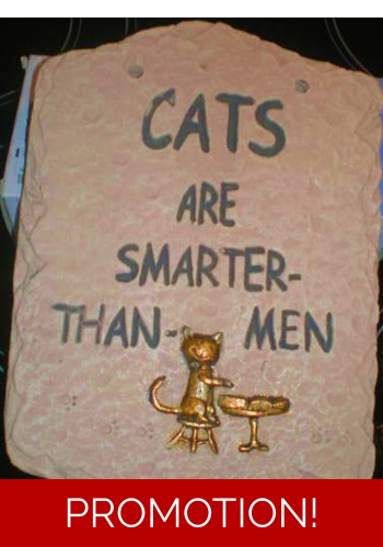 Cats are smarter than men plaque