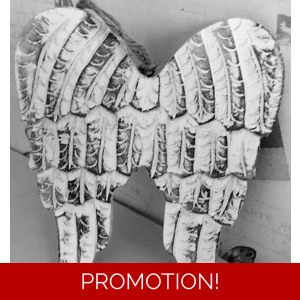 Mould for making these stunning angel wings