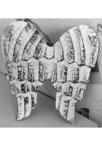 Mould for making these stunning angel wings