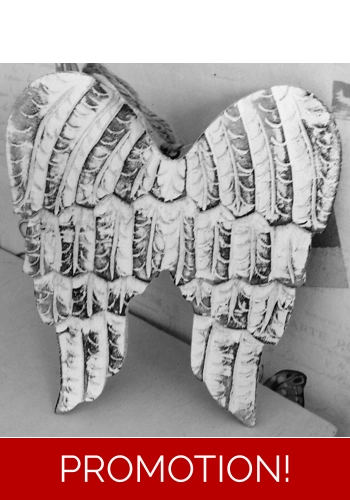 Mould for making these stunning angel wings