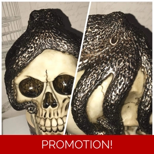 Unusual octopus on skull mould