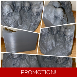 Latex mould for making this Mount Rushmore Sculpture