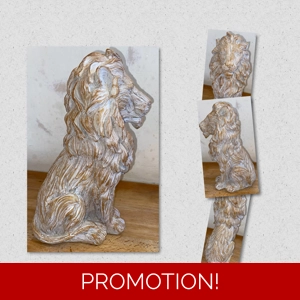 Large Carved effect lion mould