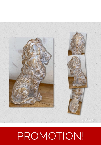 Large Carved effect lion mould
