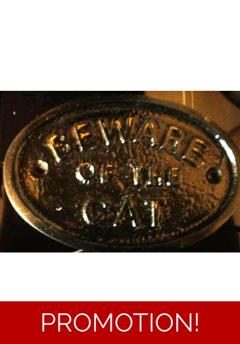 Beware Of The Cat