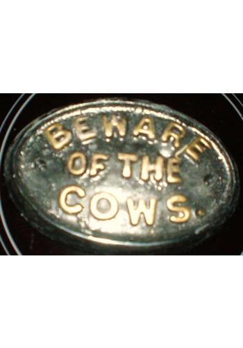 Beware Of The Cows