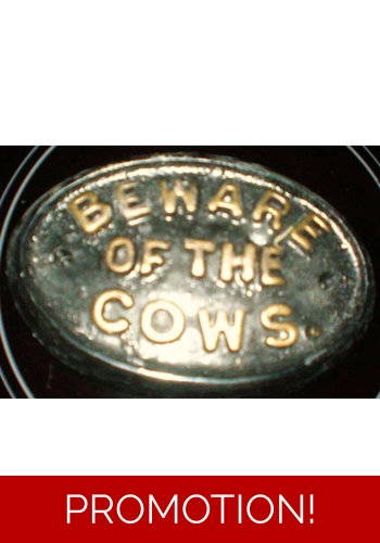 Beware Of The Cows