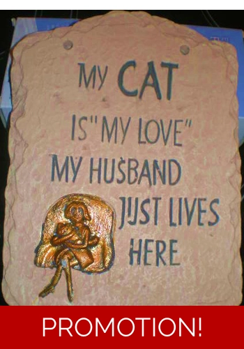 Humerous cat and husban..