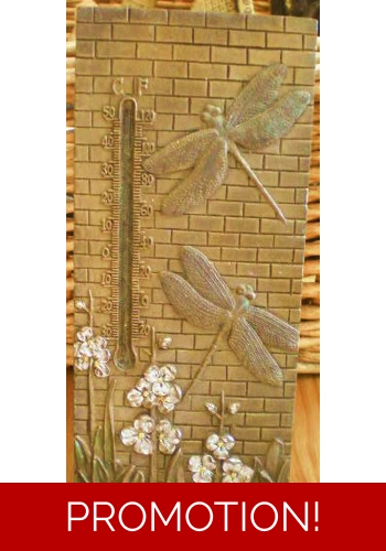 Dragonfly plaque