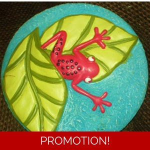 Frog stepping stone
