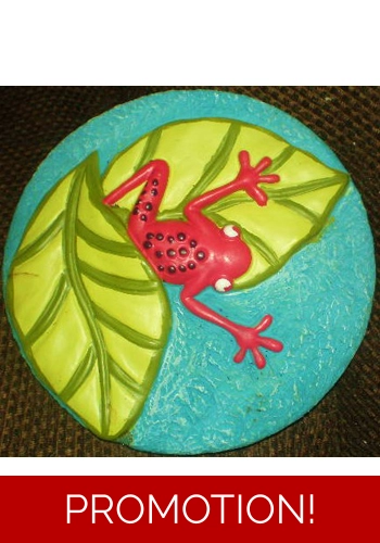Frog stepping stone