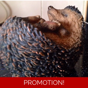 Cute laying hedgehog