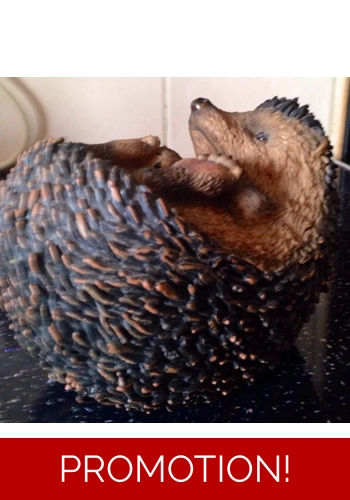 Cute laying hedgehog