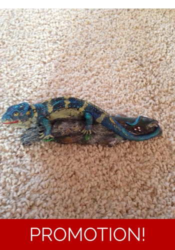 Lizard on a rock mould