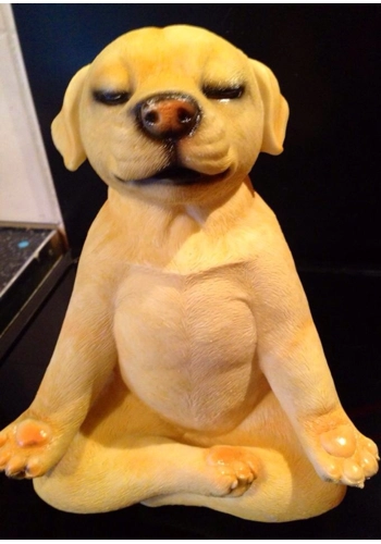Yoga dog 2