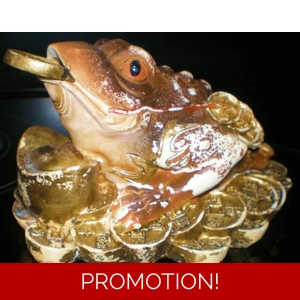 Money Frog