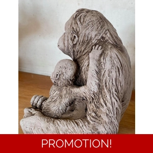 Mummy and baby Orangutan