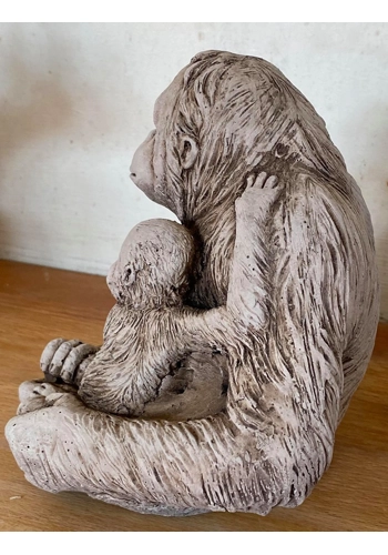 Mummy and baby Orangutan