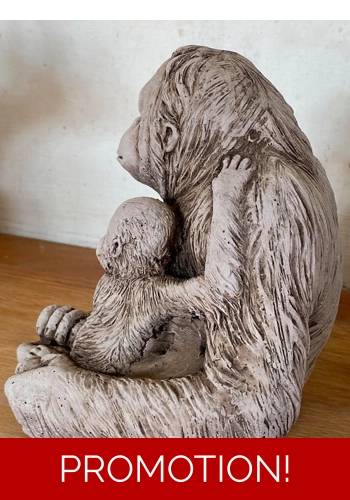 Mummy and baby Orangutan