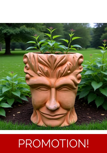 Treeman Pot