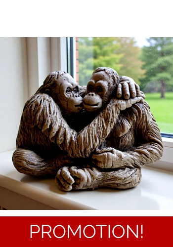 Lovely pair of cuddling Orangutans