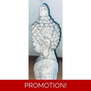 Latx mould for making this Rustic style Buddha Statue