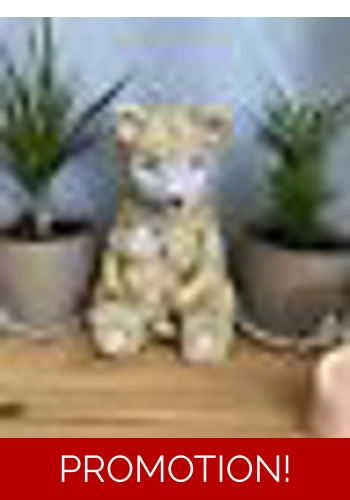 Latex Mould for making this Lovely Teddy statue