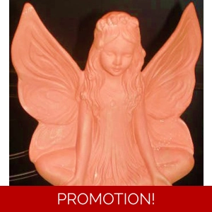 Posing Fairy