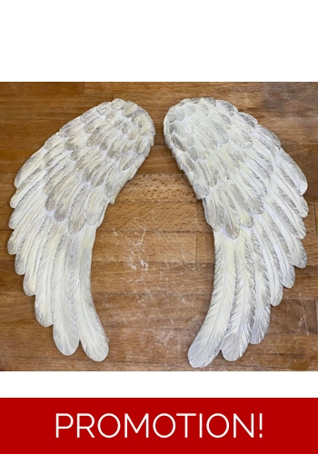 2 Latex Moulds for making thisVery Large pair of angel wings