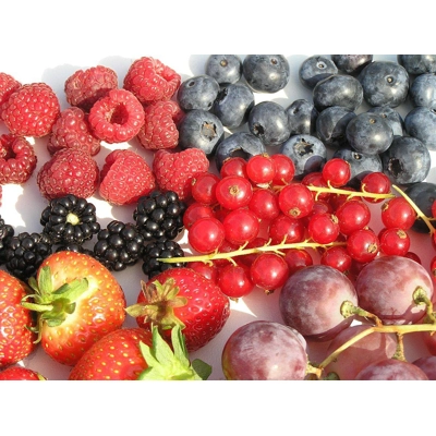 Oogstpakket fruit Oogstpakket fruit