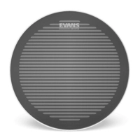 Evans dB ONE 13